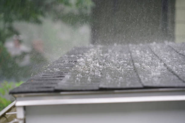 Best Storm Damage Roof Repair  in Union, KY
