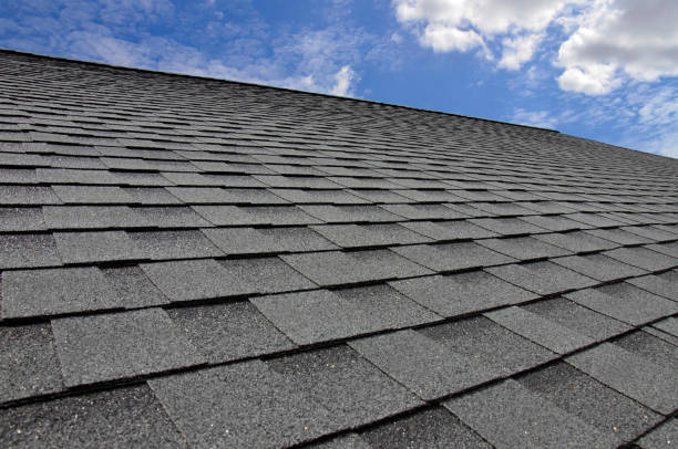 Best Roof Coating and Sealing  in Union, KY