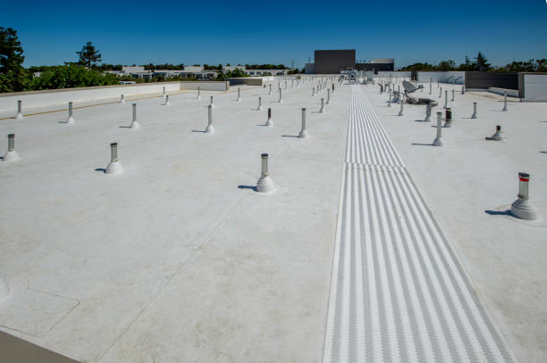 Best Metal Roofing Installation  in Union, KY